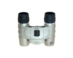 Perl Step 10 X 25 Champagne