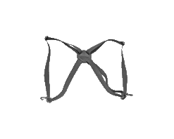 Steiner Courroie Harnais Jumelle